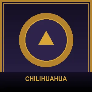 CHILIHUAHUA