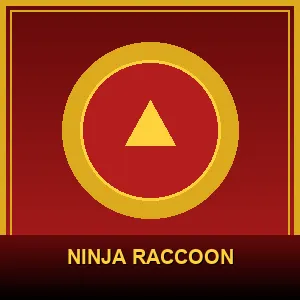 Ninja Raccoon