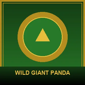 Wild Giant Panda