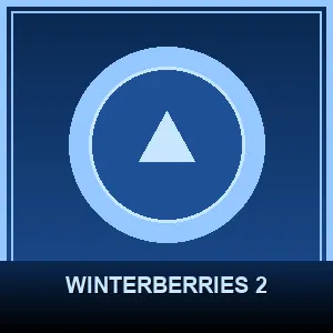 Winterberries 2